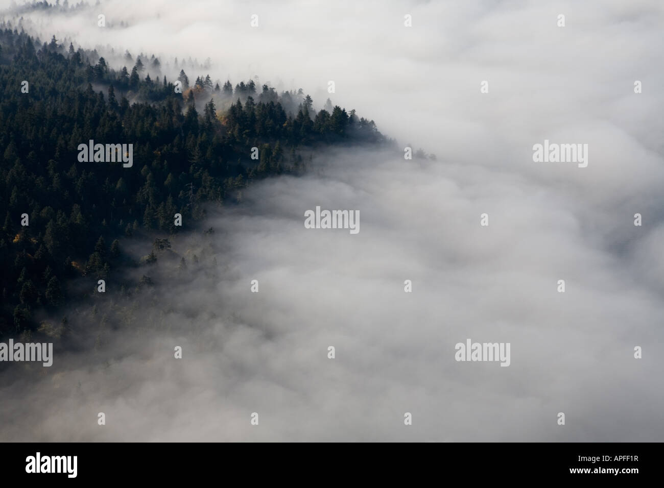 An aerial view of Vancouver Stock Photo - Alamy