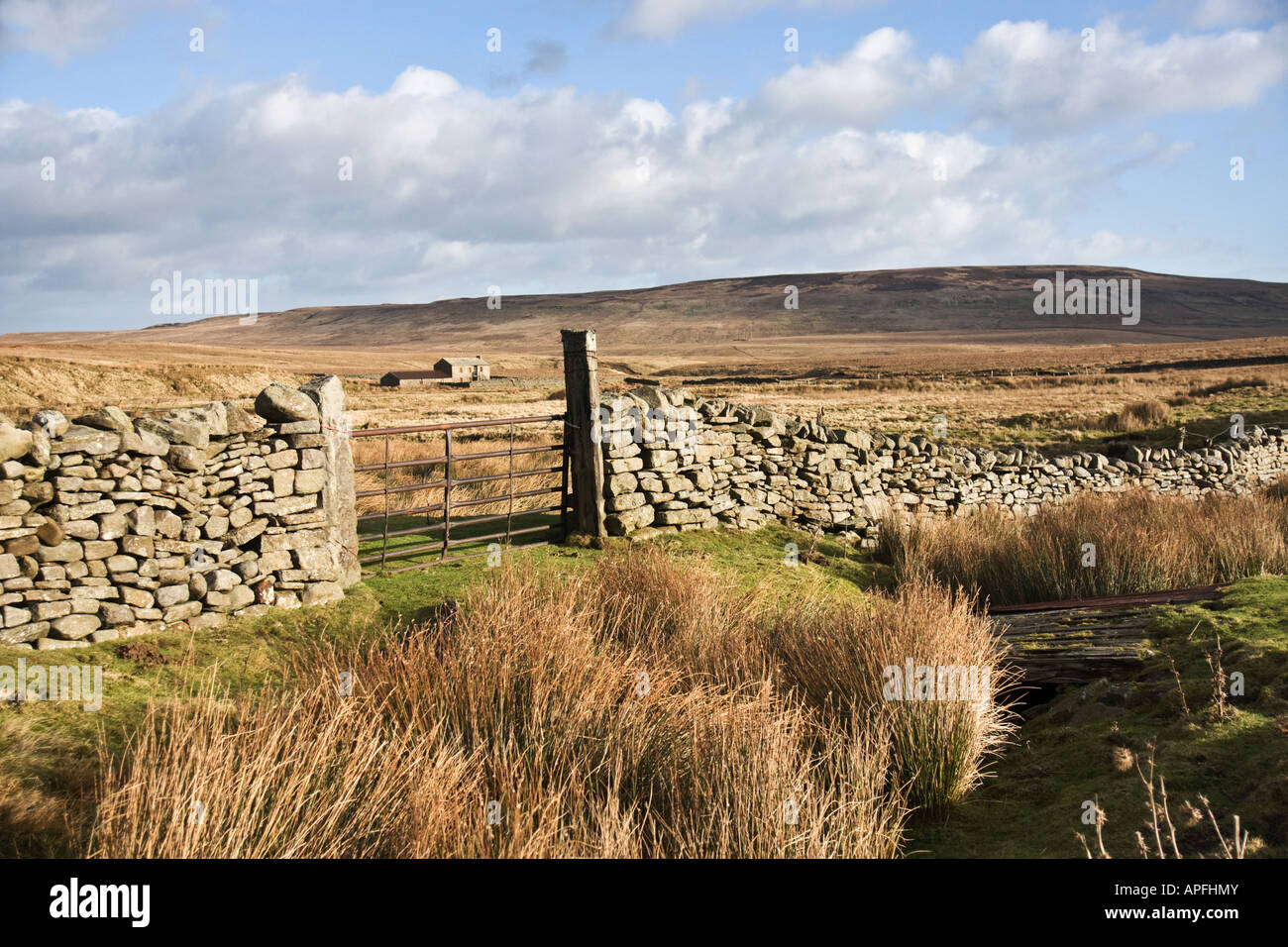 Abandoned farmhouse, Arkengarthdale, North Yorkshire Stock Photo