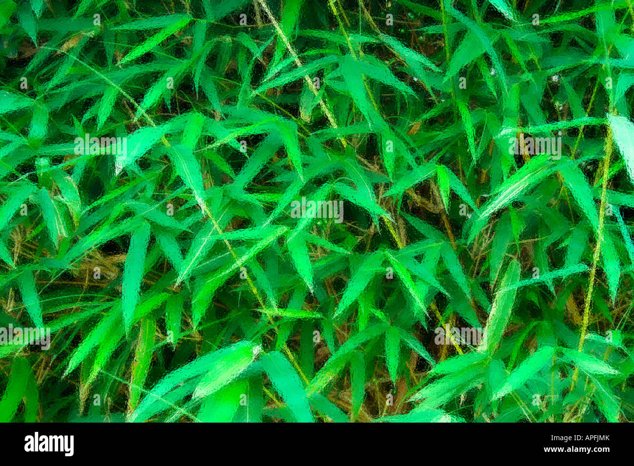Bamboo leaves foliage background blurred diffused frosted glass Stock Photo