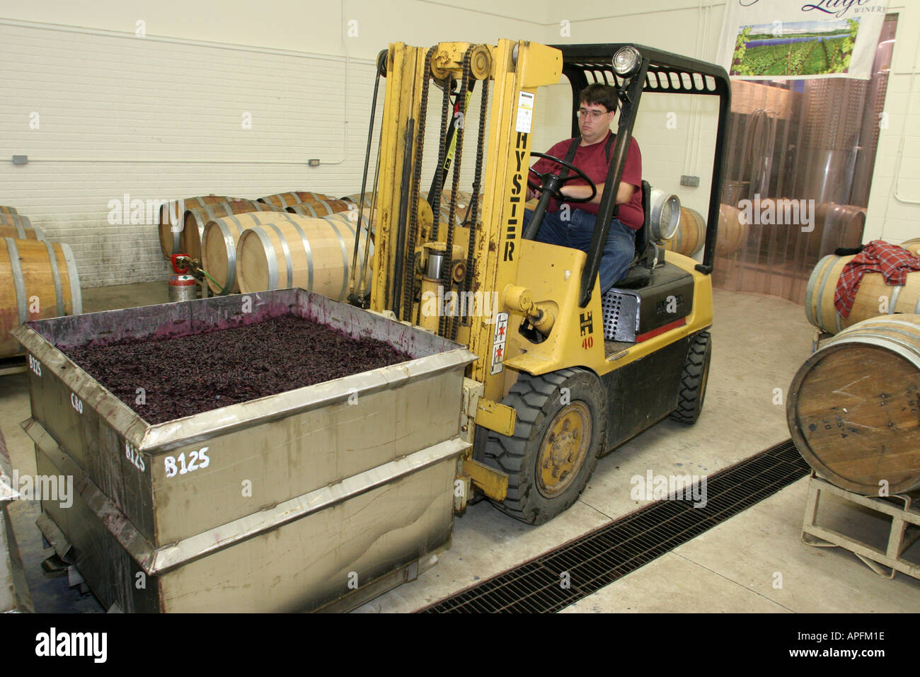 Michigan Leelanau Peninsula,Traverse City,Bel Lago Winery,Grape & Wine Industry Council,worker,workers,working,work,employee worker workers staff,empl Stock Photo