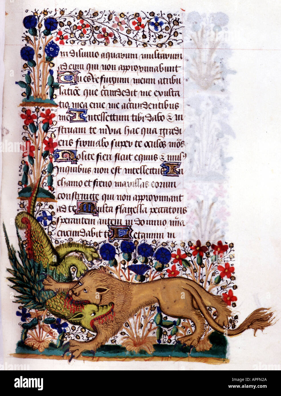 Master of the Hours of Jean de Montauban Manuscript of the Hours of Rohan Montauban Lion devouring an animal Stock Photo