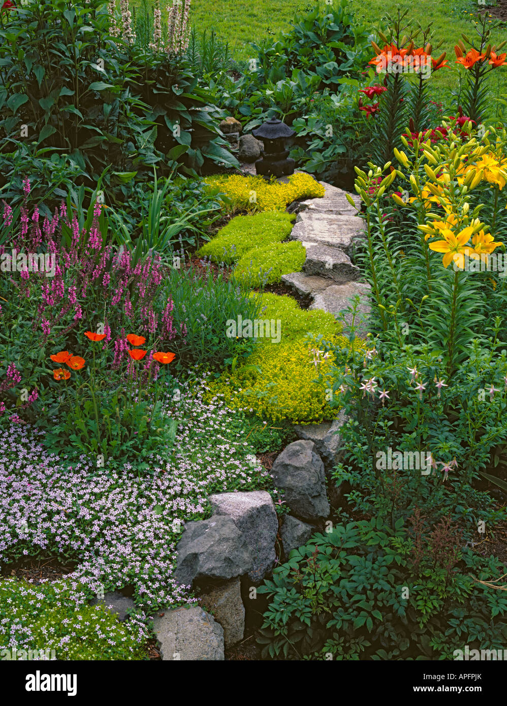 Vashon Island WA A garden bed filled with flowers and ground cover in