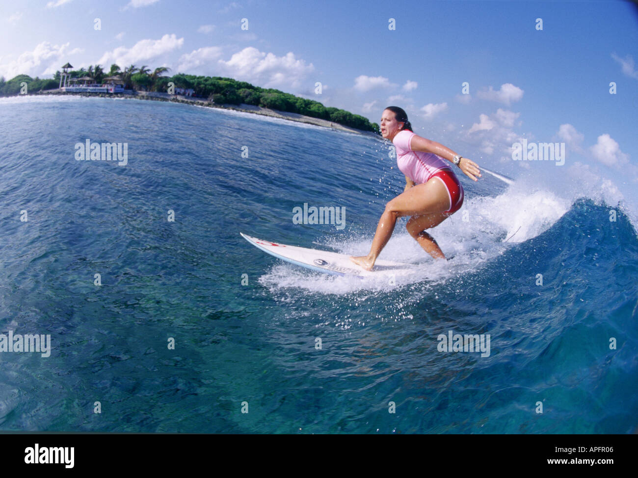 SURFING ACTION MALDIVES Stock Photo Alamy