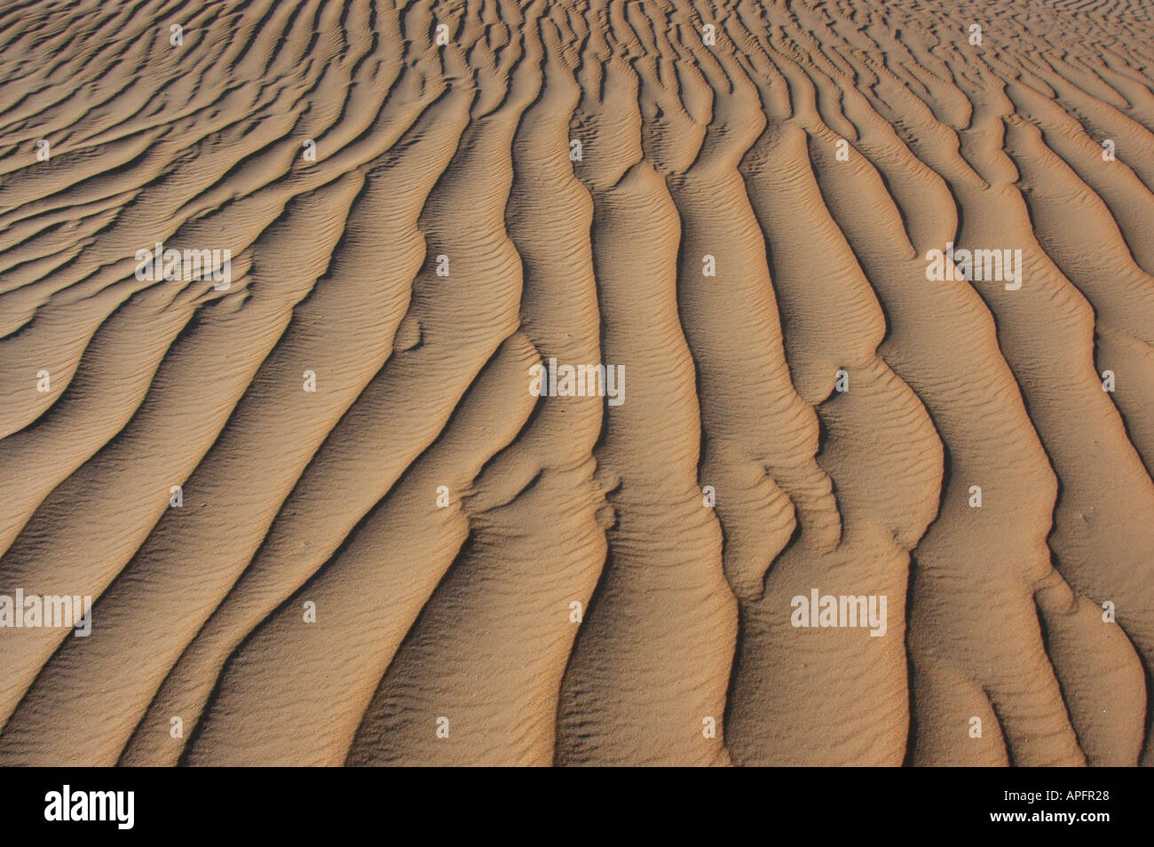 vertical sand patterns on dunes in Namib Desert Namibia Stock Photo - Alamy