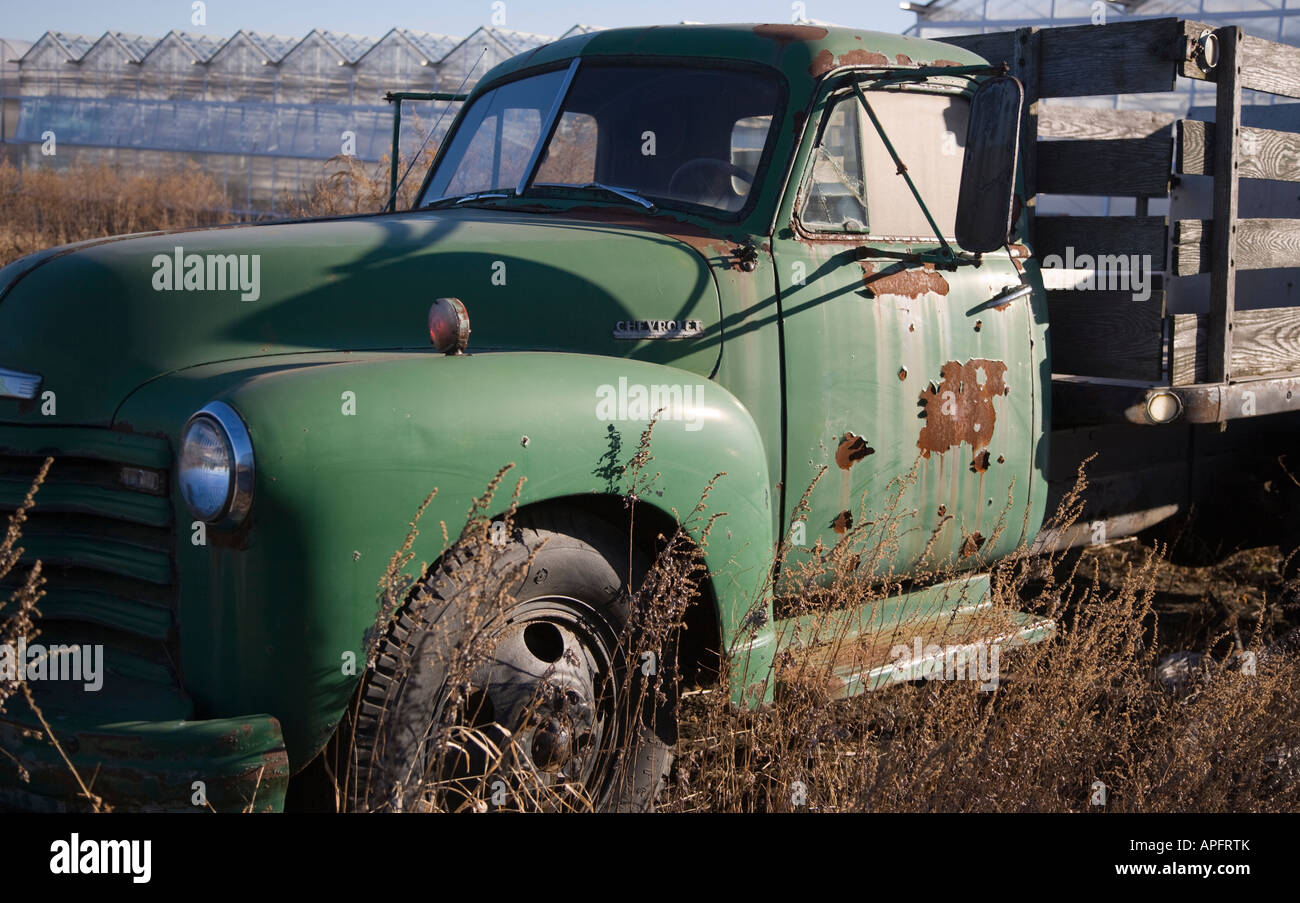 Rusty truck in a field Stock Photo - Alamy