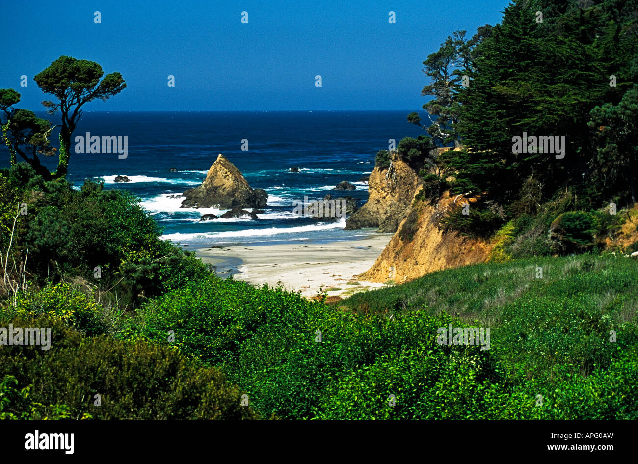 California tsunami fort bragg