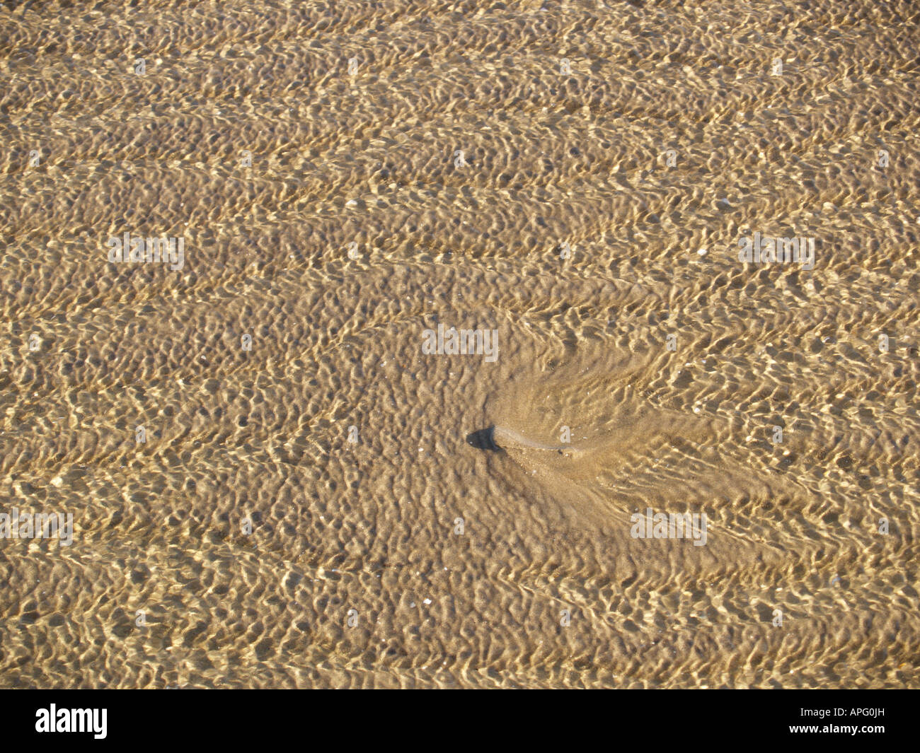 pattern sea tide ripples reflection in sand beach Stock Photo - Alamy