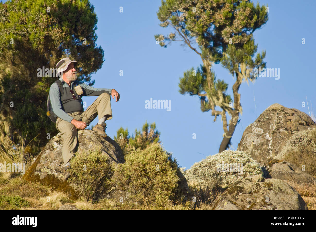 Elderly man in park hi-res stock photography and images - Alamy