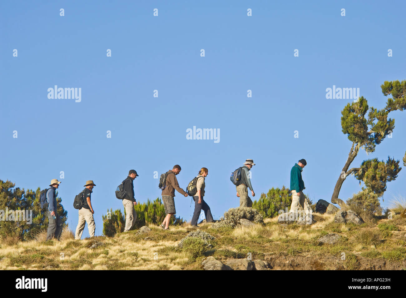 A group of tourists trekking hiking through the Semien Mountain National Park. Stock Photo