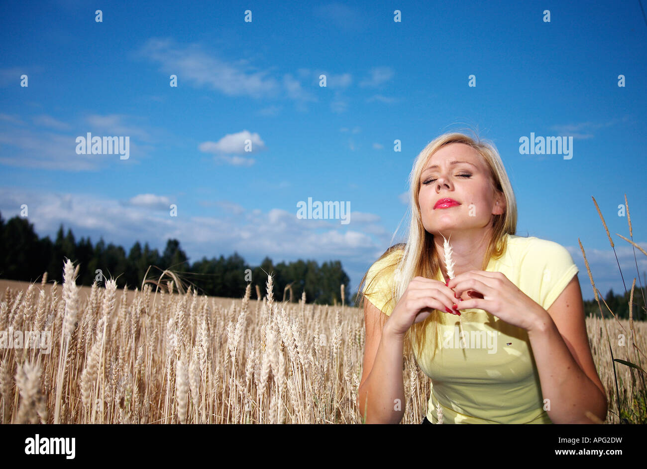 Beautiful Girl in wheat field Stock Photo - Alamy