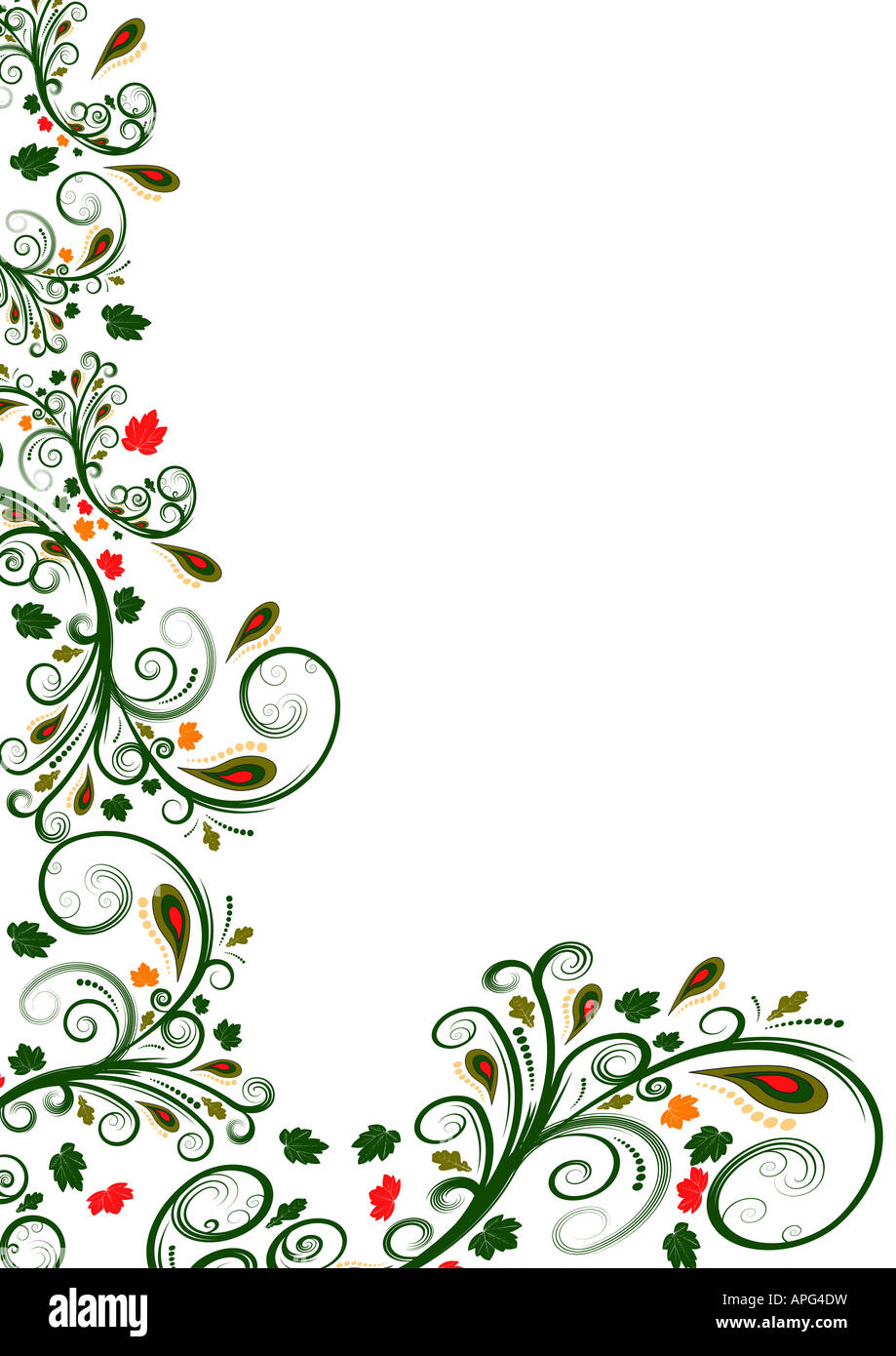trendy vector floral border design Stock Photo