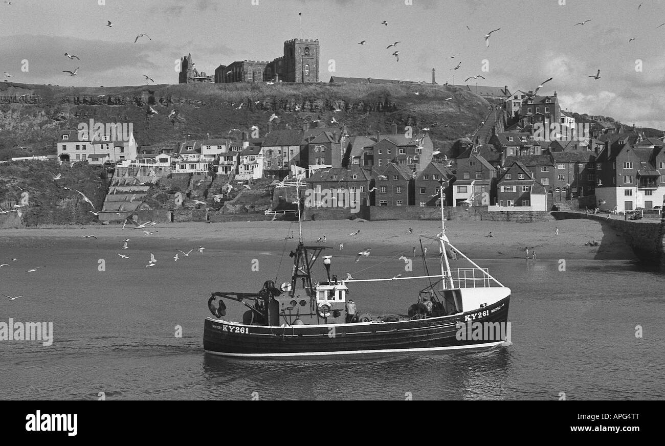 Fishing boat surrounded by seagulls sailing into Whitby harbour. Stock Photo
