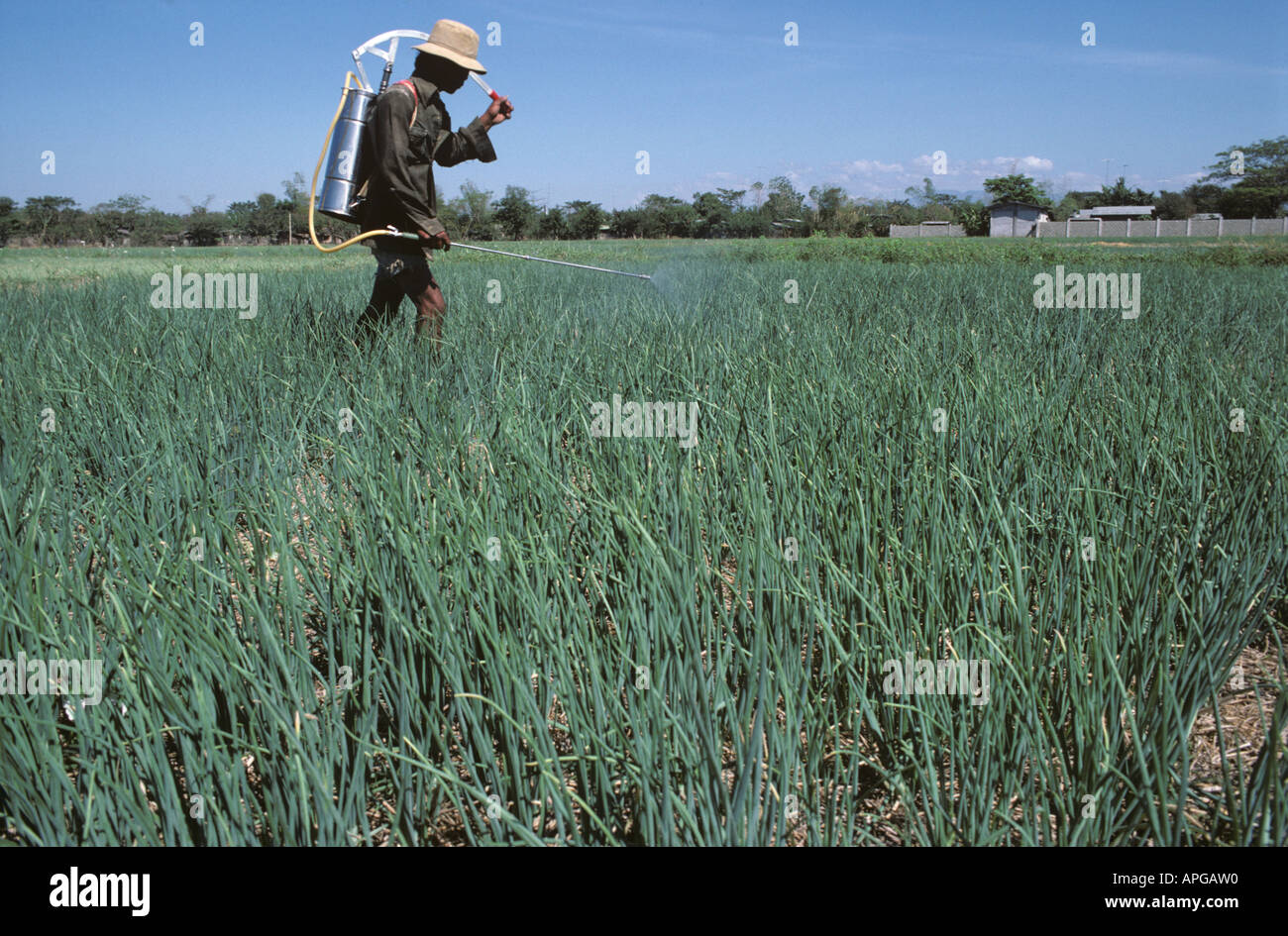 Man Knapsack Sprayer High Resolution Stock Photography And Images Alamy