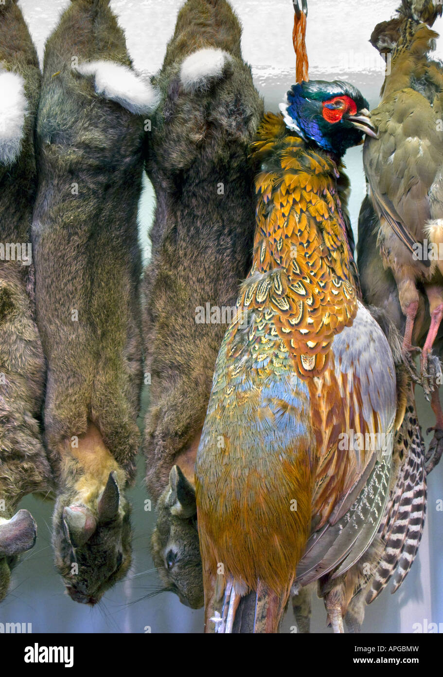 Rabbits and pheasant hanging in Oxford Covered Market 2 Stock Photo - Alamy