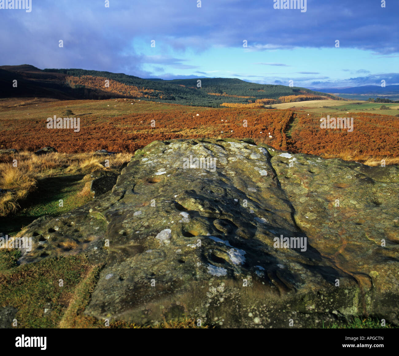 Neolithic cup and ring marked rock at Lordenshaws, the Simonside Hills,  near Rothbury, Northumberland National Park, England Stock Photo