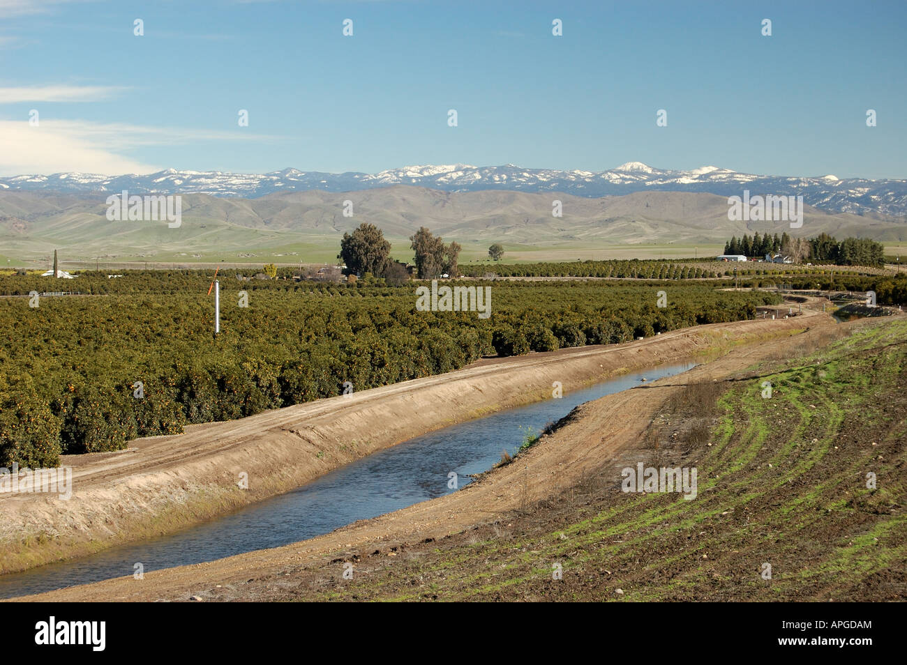 citrus orchard and the Enterprise canal,central valley of California