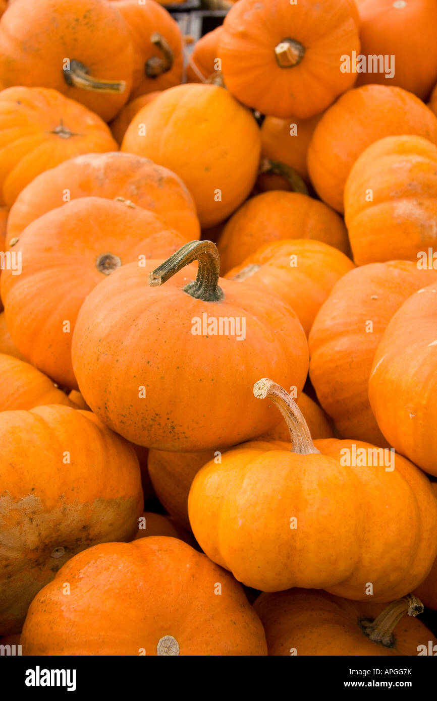 Pumpkins for sale at market Stock Photo - Alamy