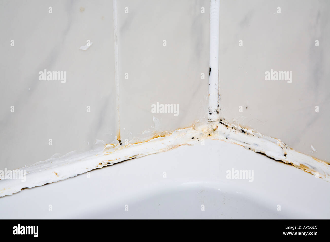 Britain UK Dirty white domestic bathroom shower cubicle base with black mould growing on peeling broken sealant and tile grout Stock Photo