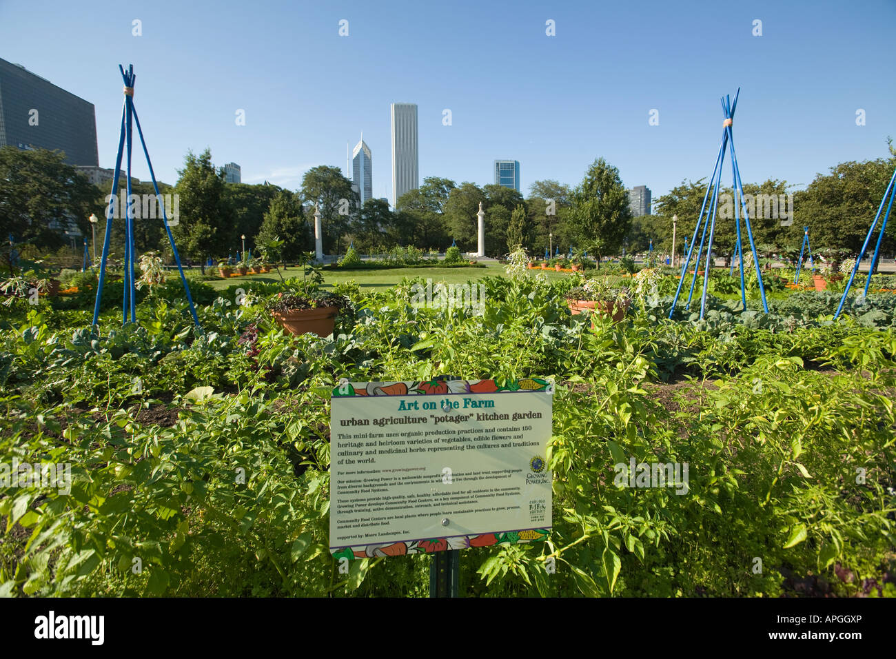 ILLINOIS Chicago Art on the Farm vegetable garden in Grant Park urban agriculture potager kitchen garden sign plants growing Stock Photo