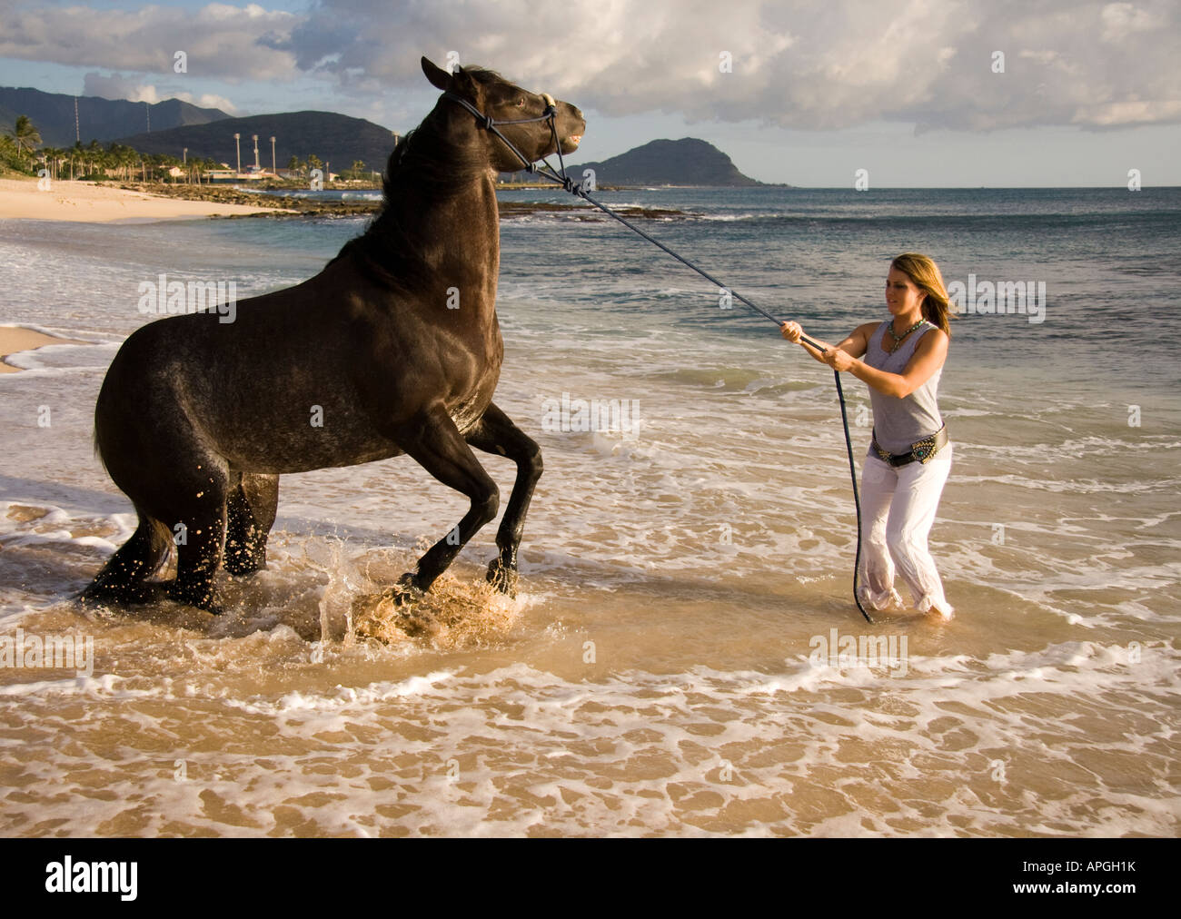Woman and rearing horse on beach Stock Photo