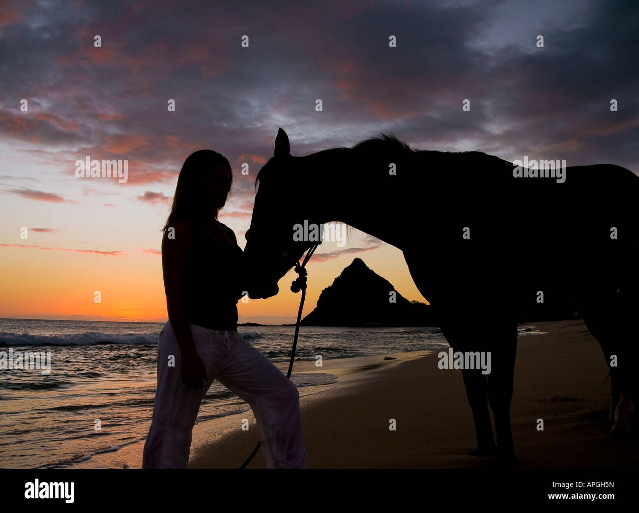 Silhouette of woman and horse on beach at sunset with mountain ...