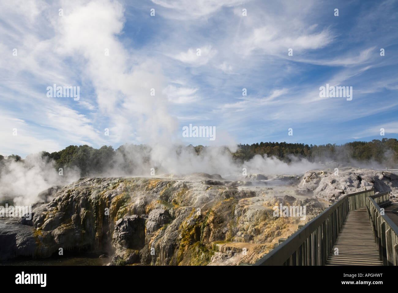 Pōhutu Geyser Exploding Pohutu geyser erupting steaming water in Te Puia in Whakarewarewa ...