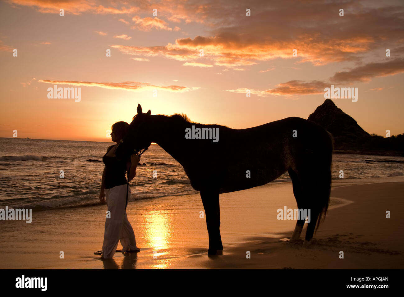 Woman with horse on beach at sunset Stock Photo - Alamy