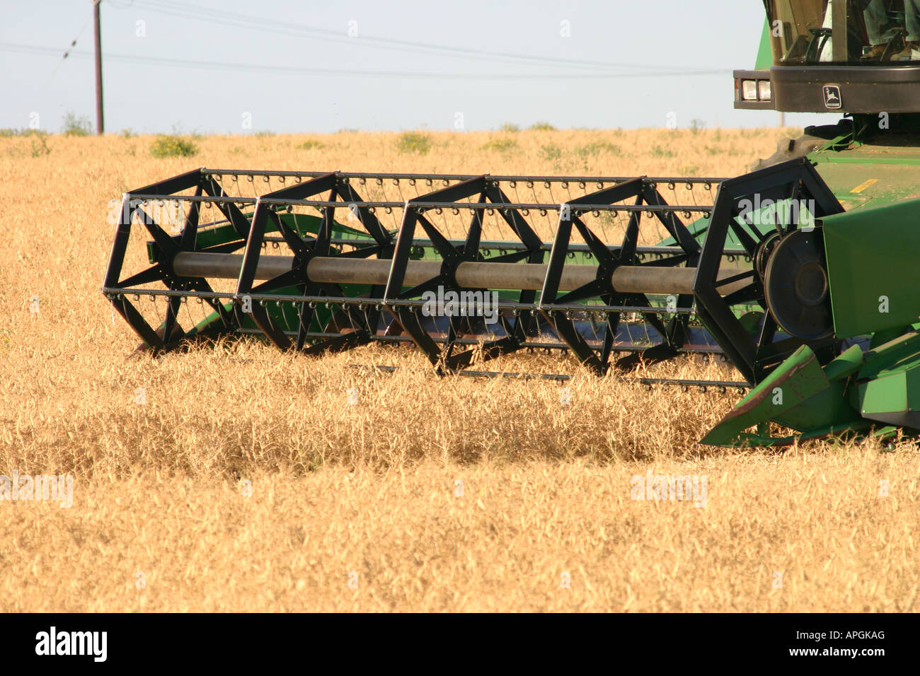 combine harvester harvesting wheat field harvest Stock Photo - Alamy