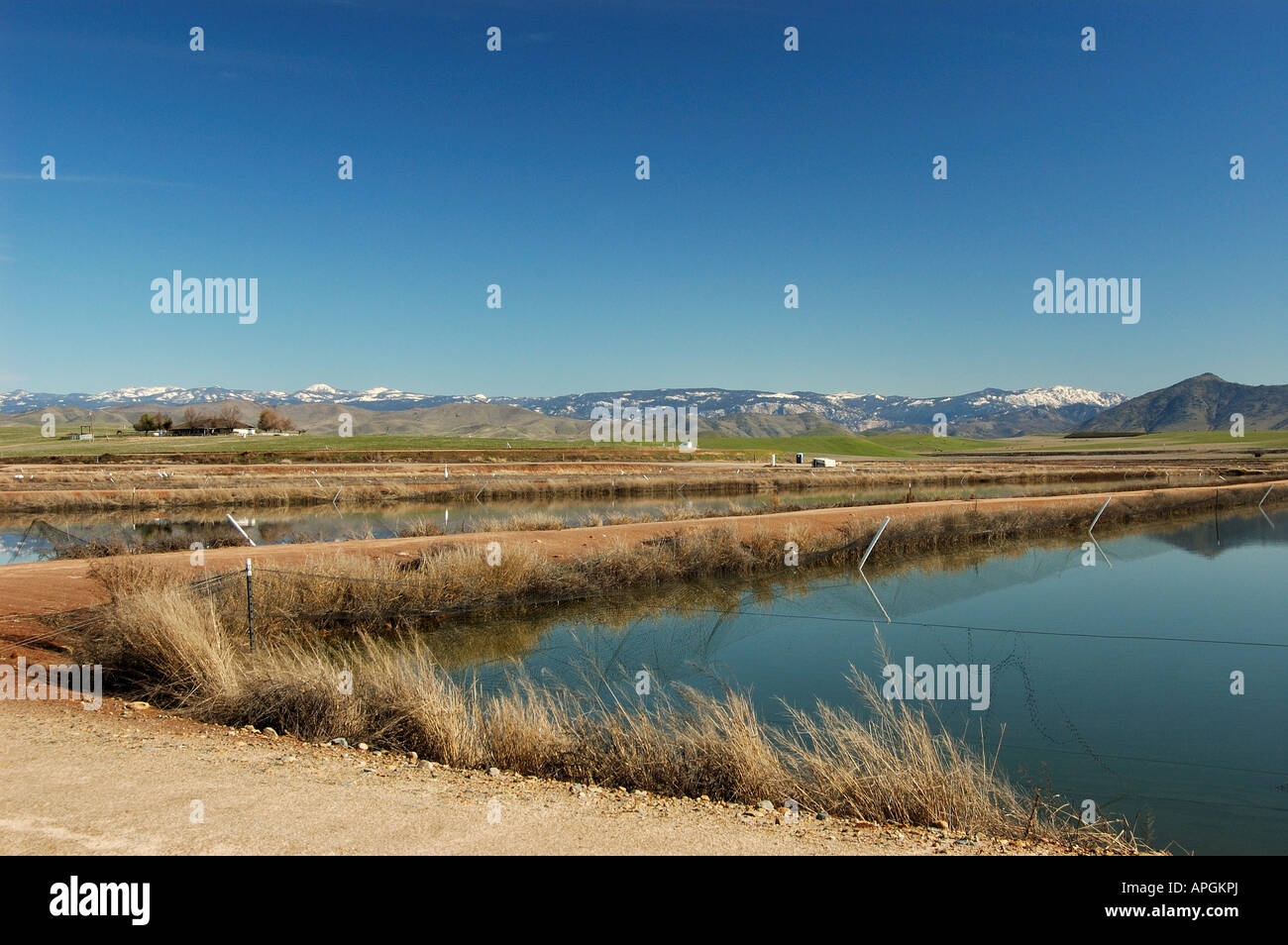 Fish hatchery central valley California near Fresno Sierra Nevada