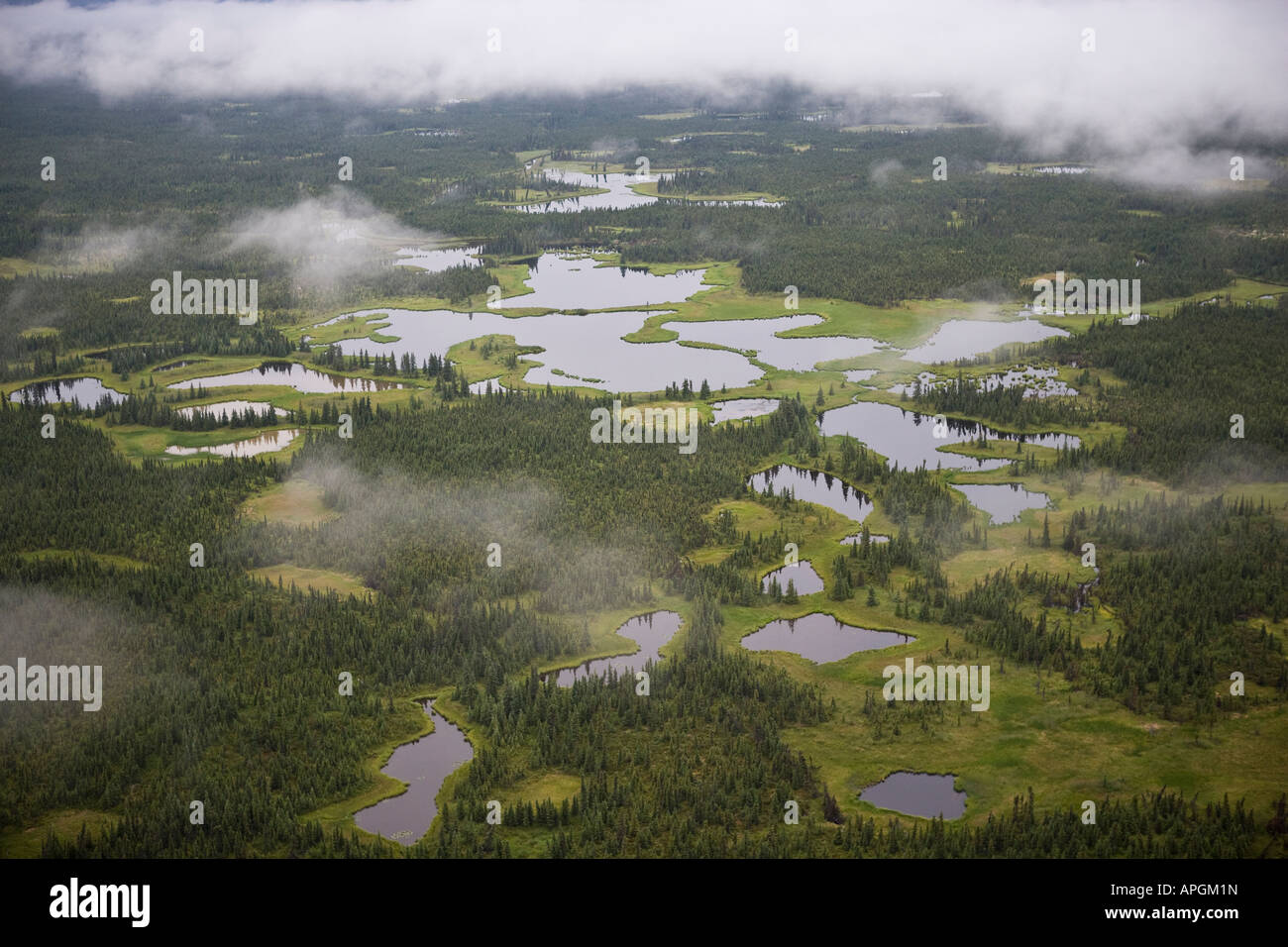 alaska alaska peninsula lake clark national park freshwater marsh and