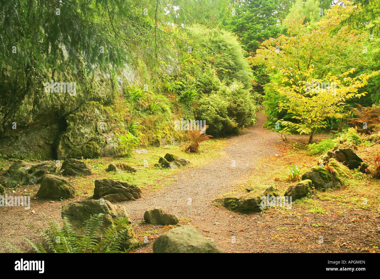 path through a thick forest and rock close at Blarney Castle Stock Photo
