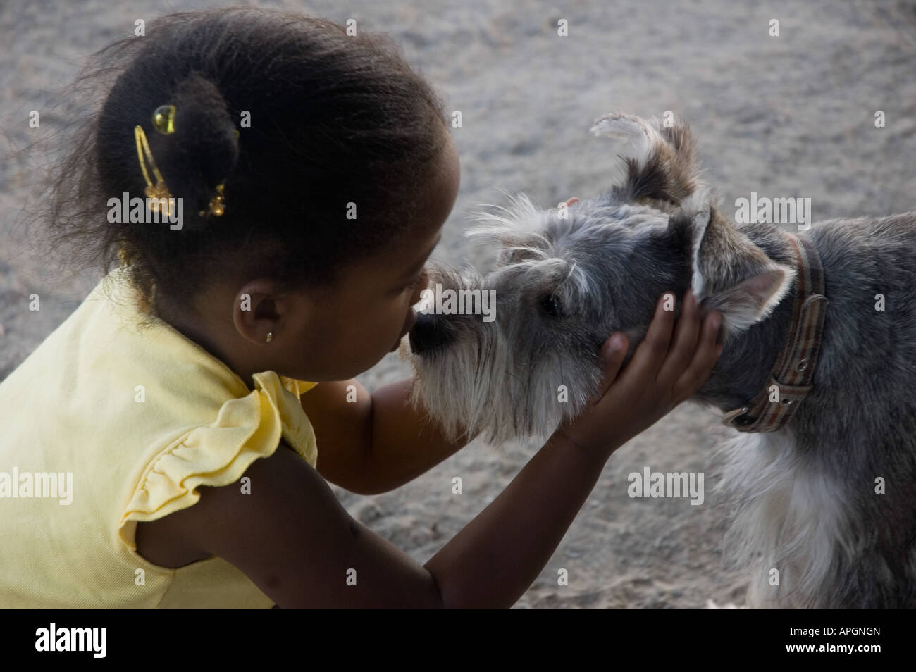 A young girl's face to face meeting with a dog Stock Photo