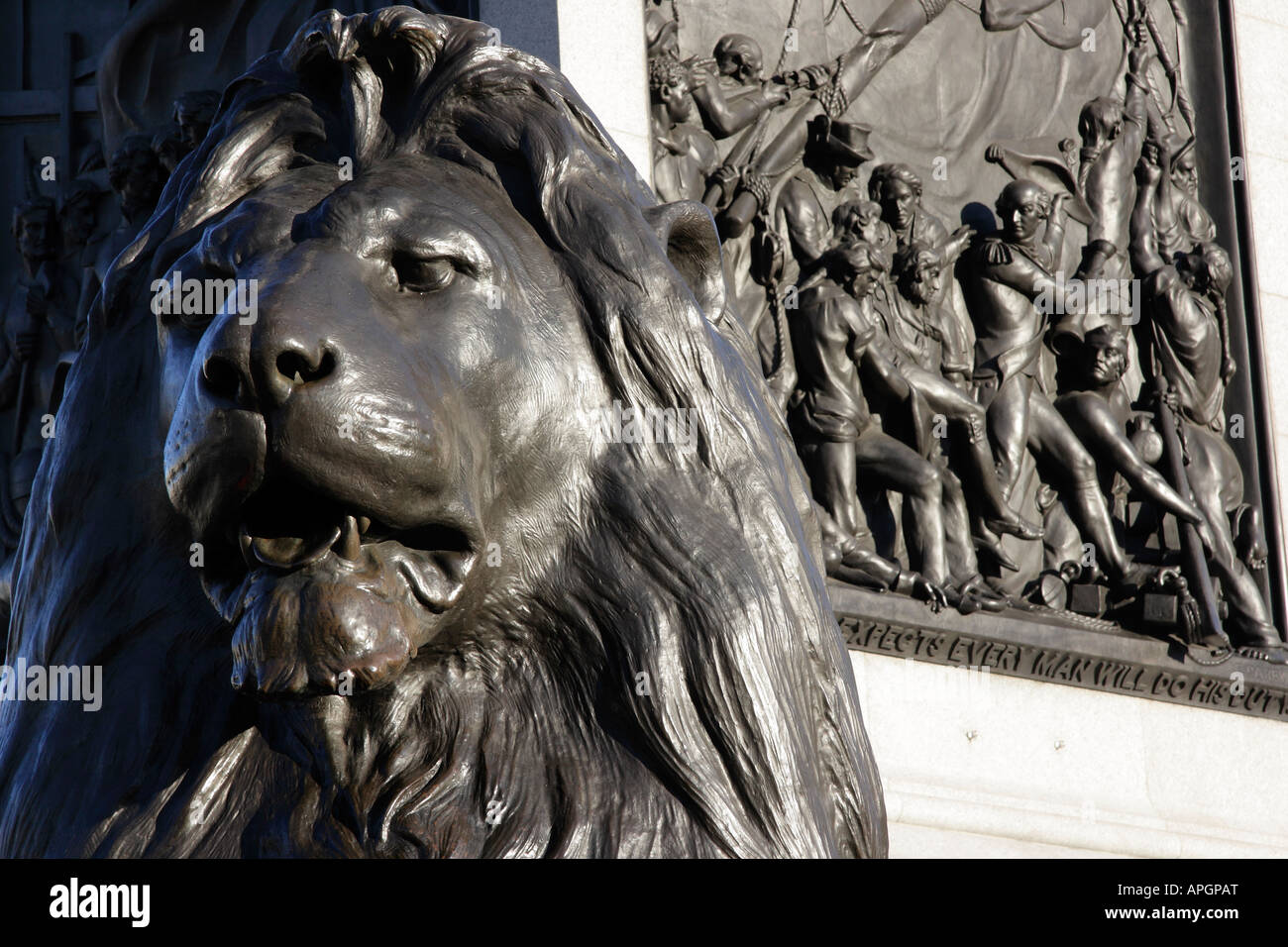 One of Landseer's lions- Trafalgar Square London Stock Photo