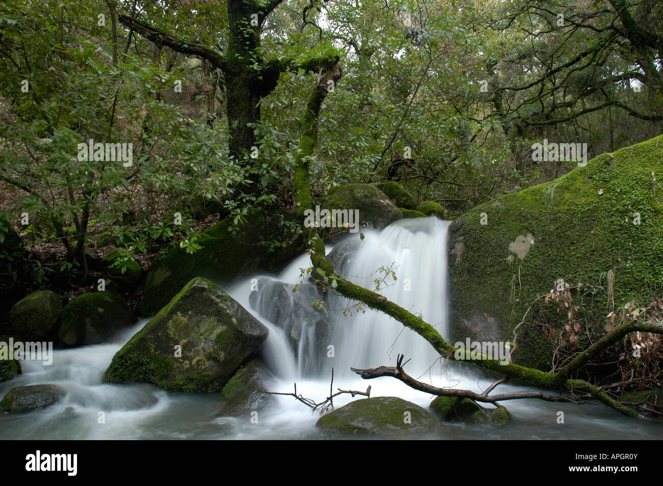 Arroyo-cascada en el Parque Natural de los Alcornocales Stock Photo
