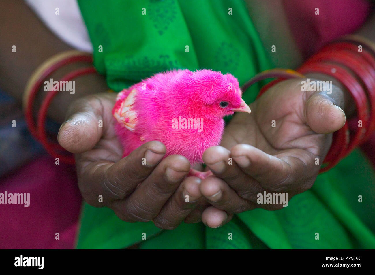 Indian woman holding baby hi-res stock photography and images - Alamy