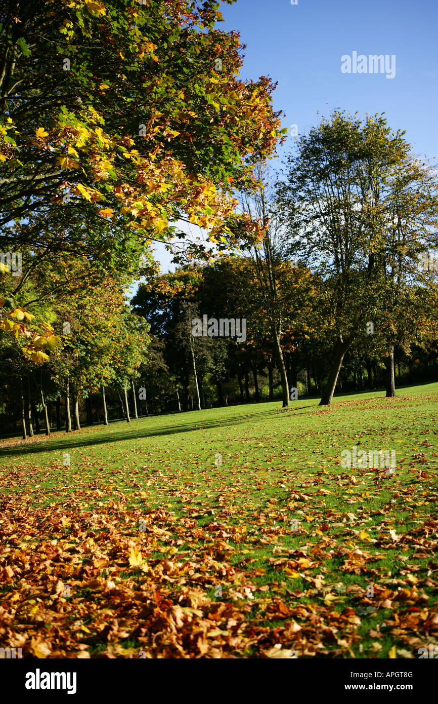 A portrait format image of a bright colourful inner city park in full autumn colours Stock Photo