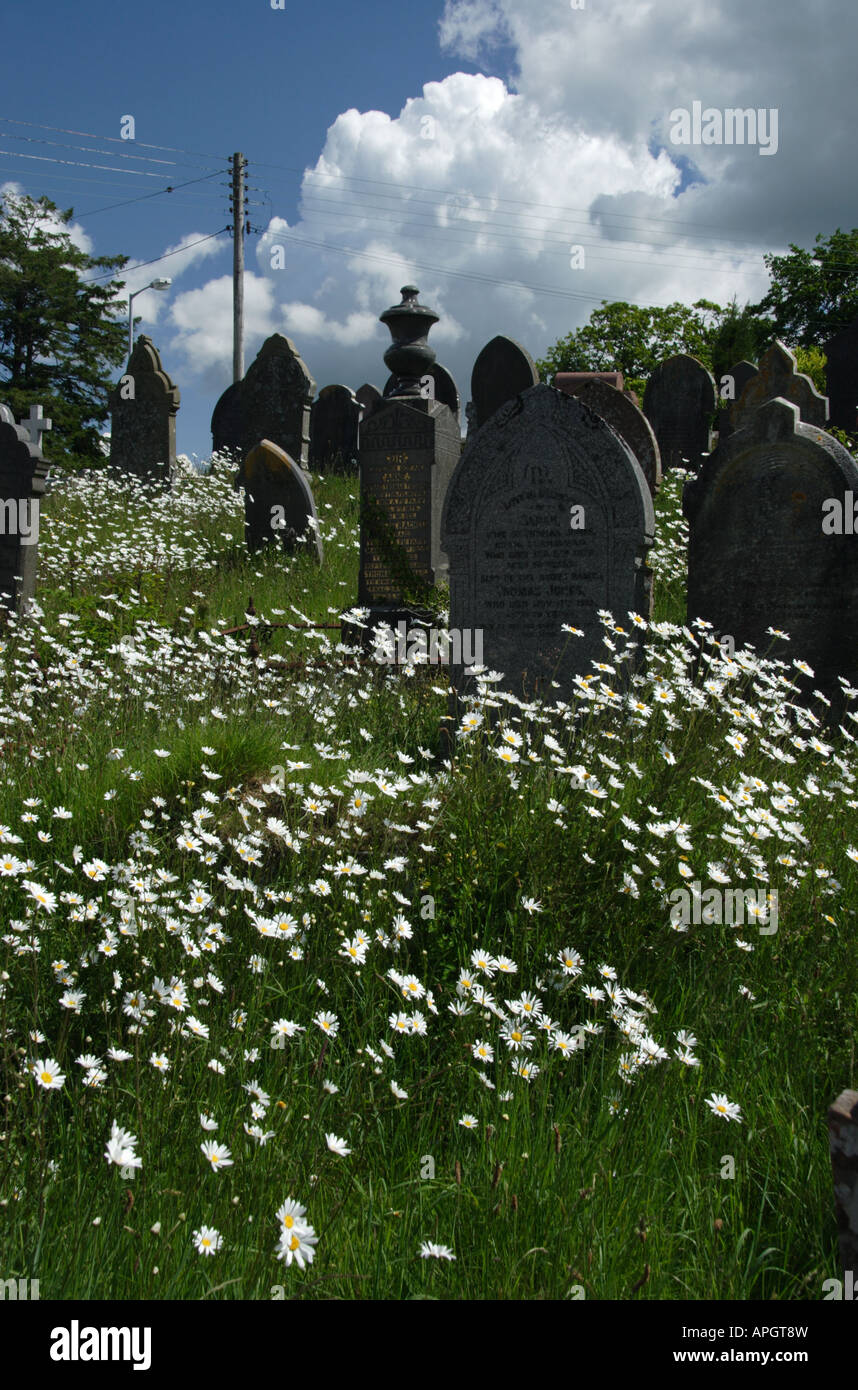Spring graveyard, Siloam Independent Chapel, Near Aberglasney, Camarthenshire, West Wales, UK Stock Photo