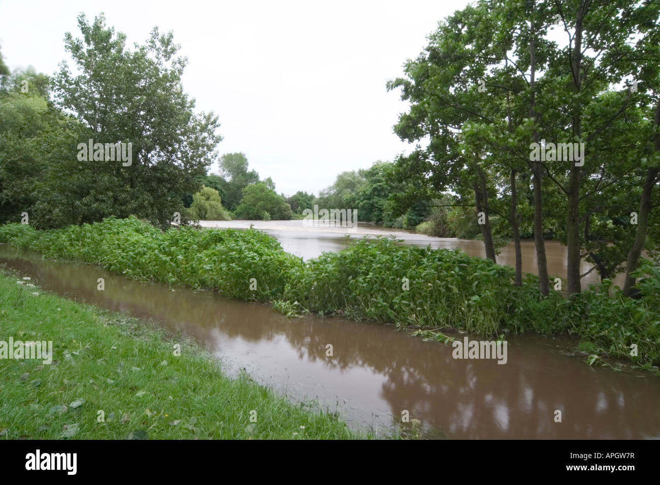 The River Aire in flood at Kirkstall Abbey Leeds West Yorkshire June ...