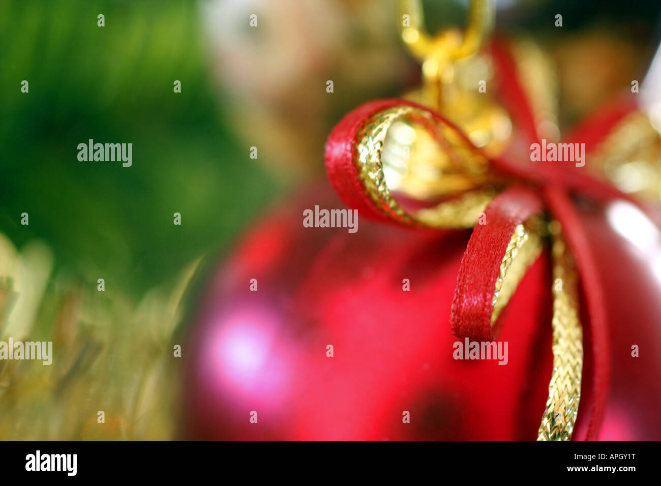 Bauble in tree hi-res stock photography and images - Alamy