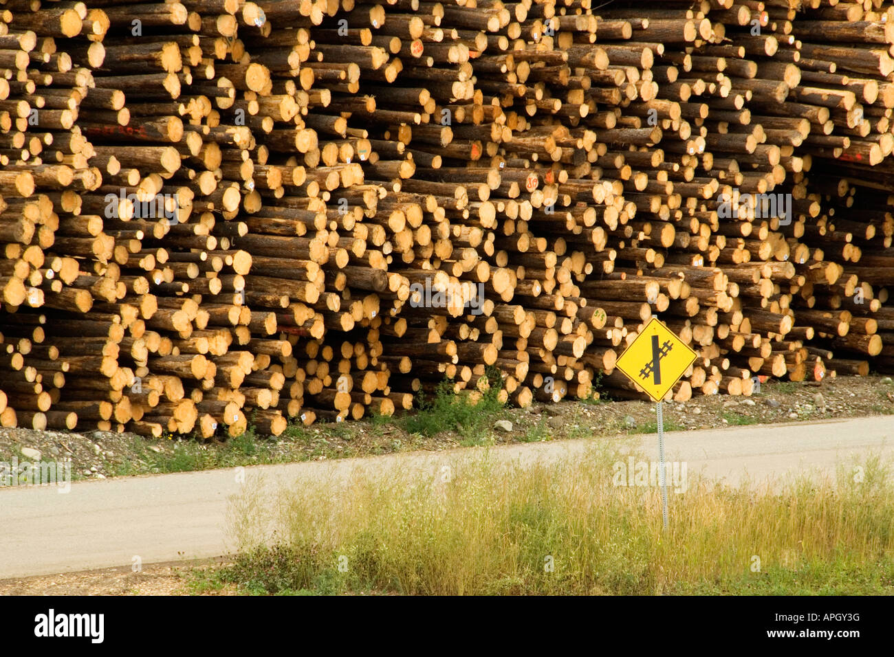Stacks of logs at Two-Mile Flat industrial area, Quesnel, British Columbia, Canada Stock Photo
