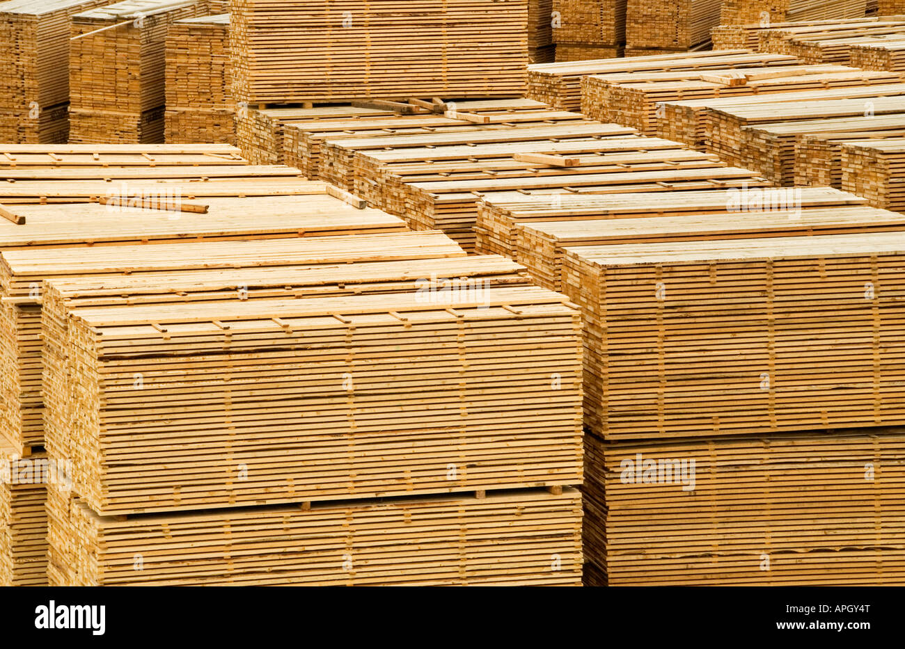 Stacks of timber at Two-Mile Flat, Quesnel, British Columbia, Canada Stock Photo
