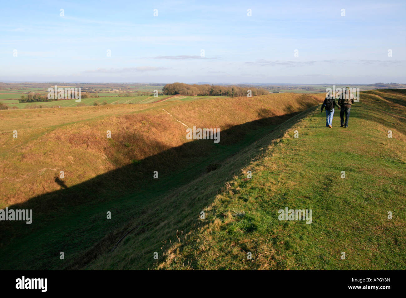 Badbury Rings is an Iron Age hill fort in east Dorset, England uk gb ...