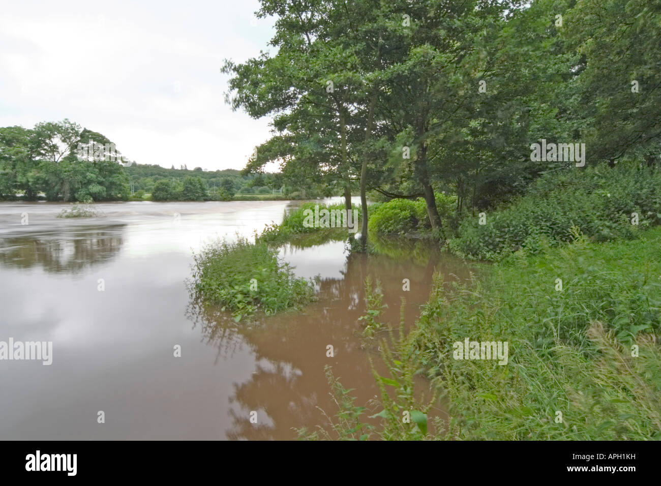The River Aire in flood at Kirkstall Abbey Leeds West Yorkshire June ...