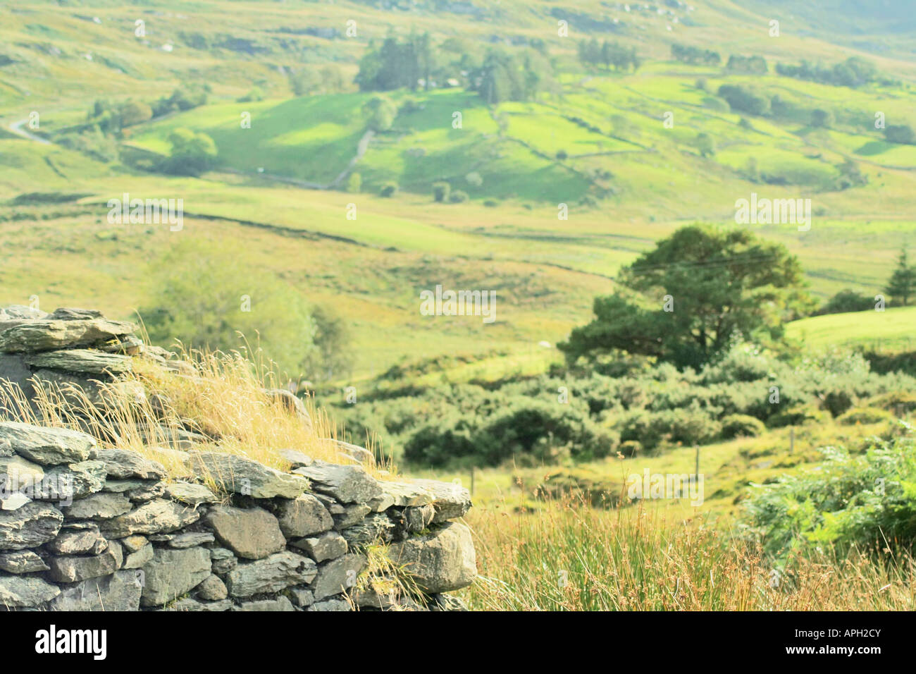 ancient stone ruins overlooking green valley Stock Photo - Alamy