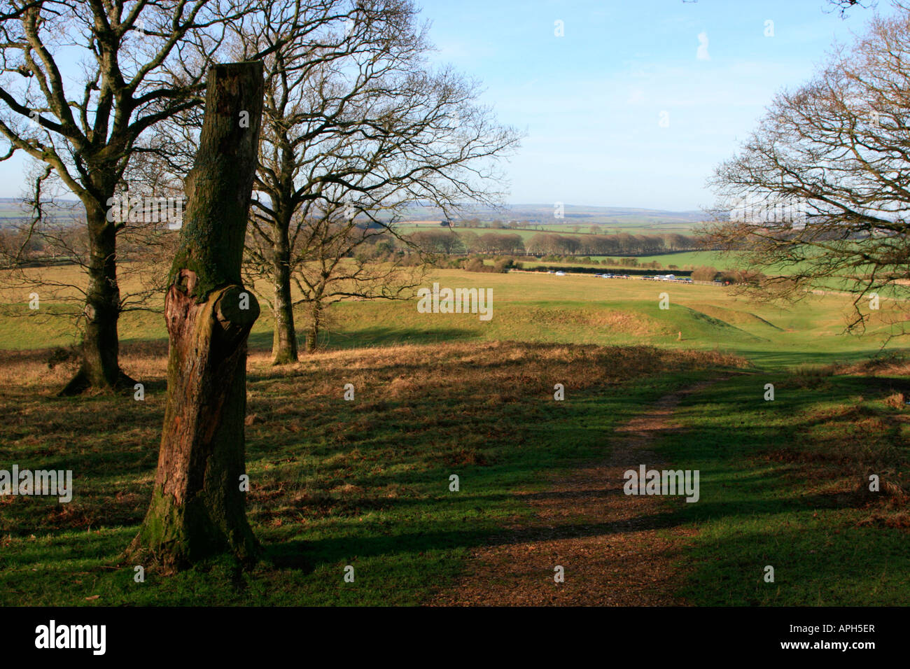 Badbury rings iron age hill fort dorset hi-res stock photography and ...