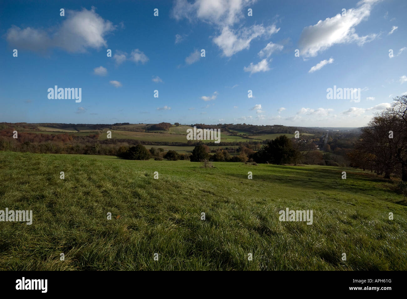 The chiltern hills winter hires stock photography and images Alamy
