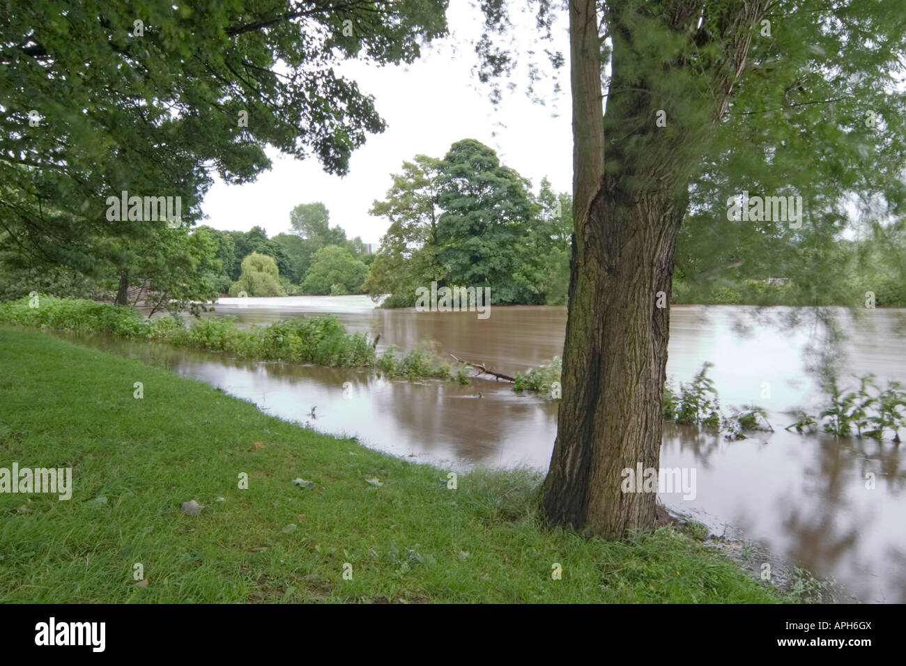The River Aire in flood at Kirkstall Abbey Leeds West Yorkshire June ...