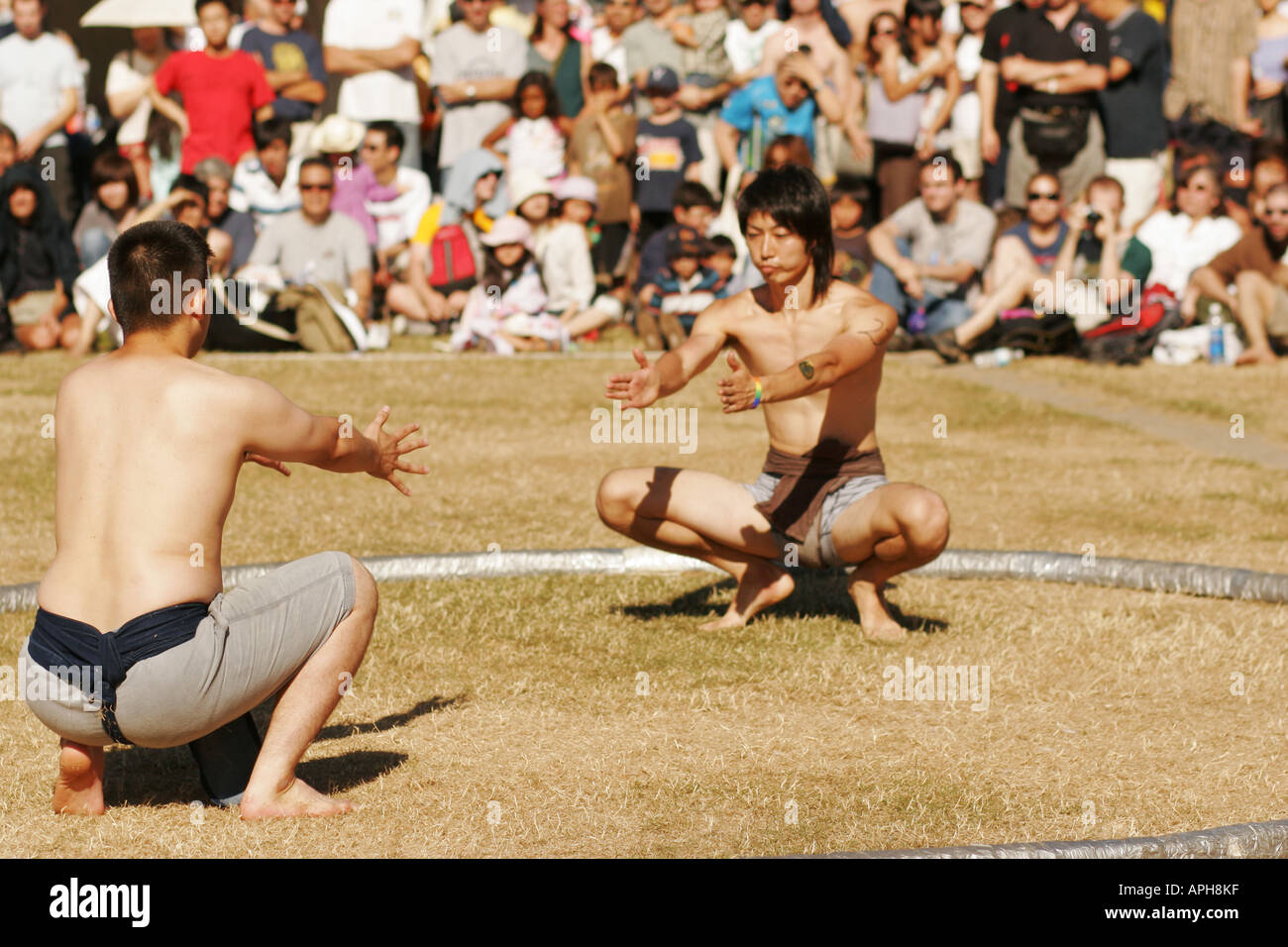 Sumo wrestling competition Stock Photo