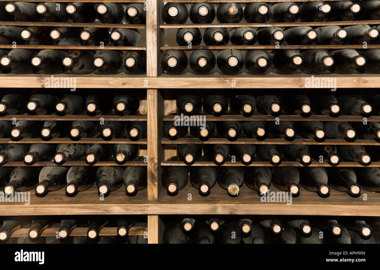 Rack full of vintage bottles of wine Stock Photo