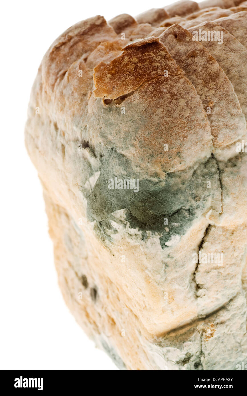 Mouldy bread Stock Photo - Alamy
